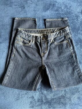 Calvin Klein Dark Blue Skinny Jeans